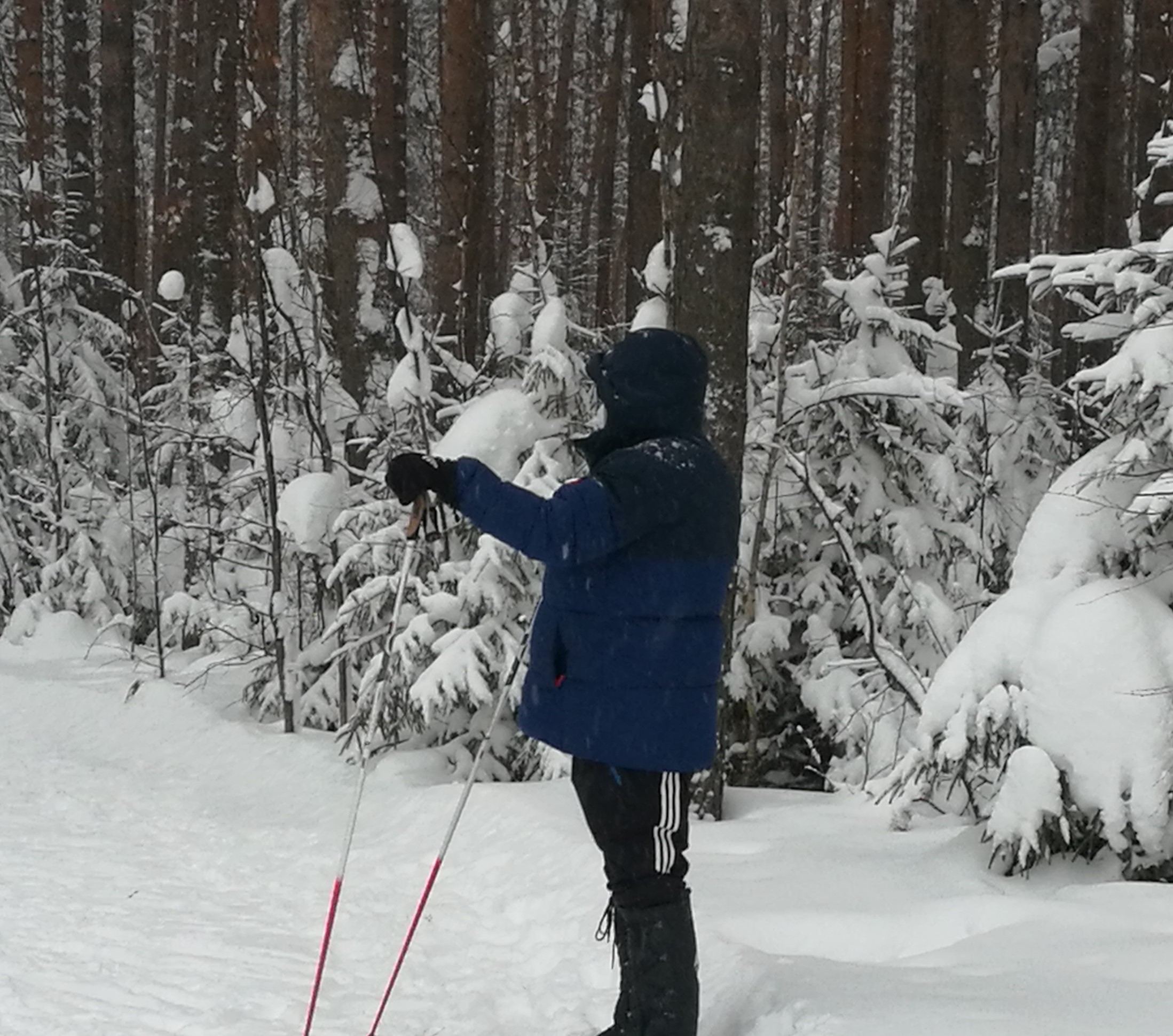 Лустов Владимир Ильич